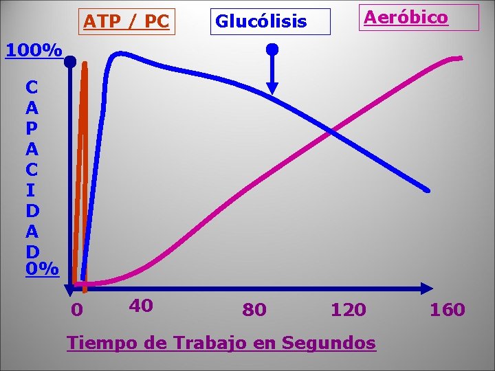 ATP / PC Glucólisis Aeróbico 100% C A P A C I D A