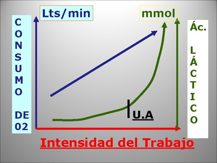 C O N S U M O DE 02 Lts/min mmol Ác. U. A