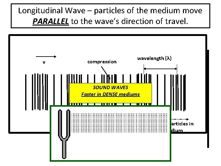 Longitudinal Wave – particles of the medium move PARALLEL to the wave’s direction of