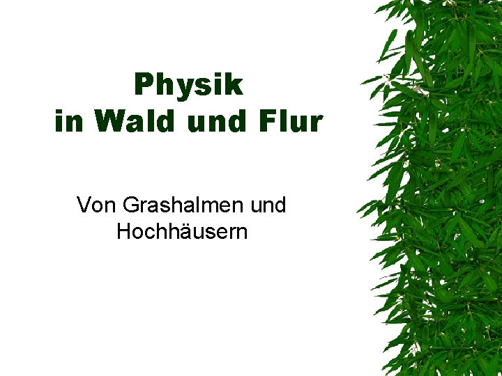 Physik in Wald und Flur Von Grashalmen und Hochhäusern 