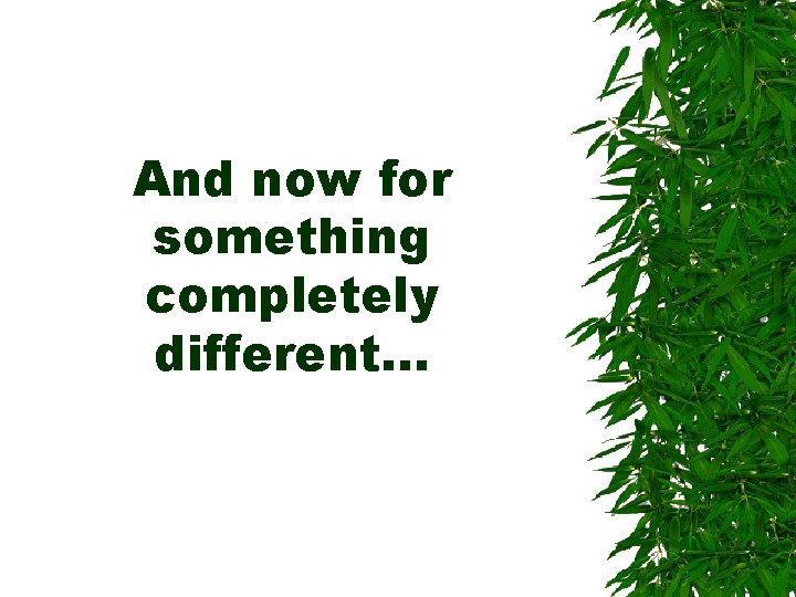 And now for something completely different. . . 