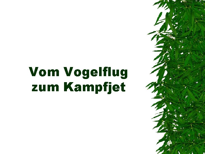 Vom Vogelflug zum Kampfjet 