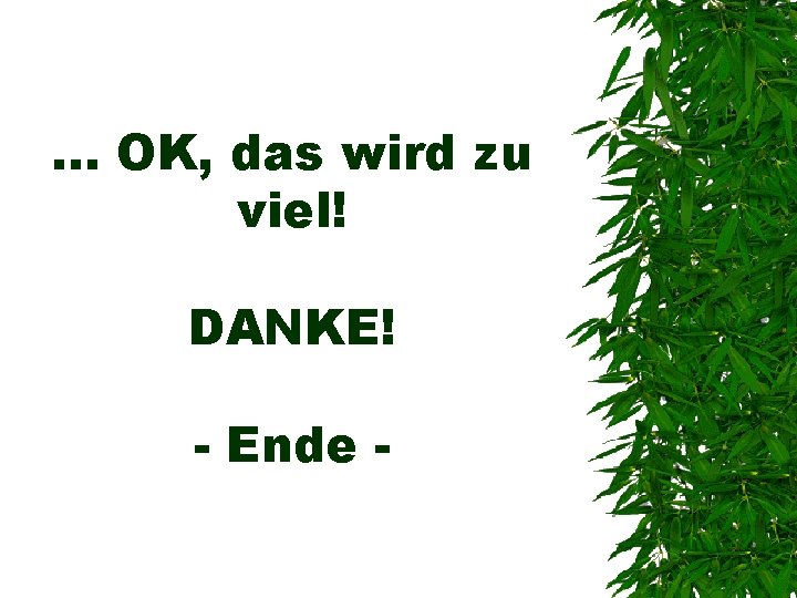 . . . OK, das wird zu viel! DANKE! - Ende - 