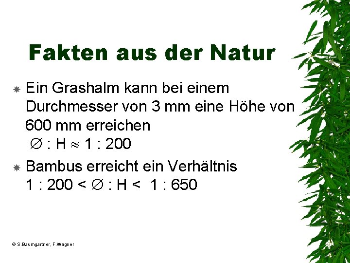 Fakten aus der Natur Ein Grashalm kann bei einem Durchmesser von 3 mm eine