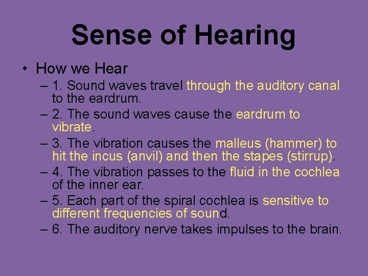 Sense of Hearing • How we Hear – 1. Sound waves travel through the