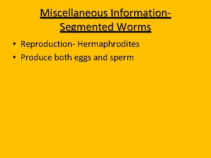 Miscellaneous Information. Segmented Worms • Reproduction- Hermaphrodites • Produce both eggs and sperm 