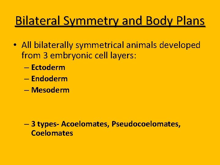 Bilateral Symmetry and Body Plans • All bilaterally symmetrical animals developed from 3 embryonic