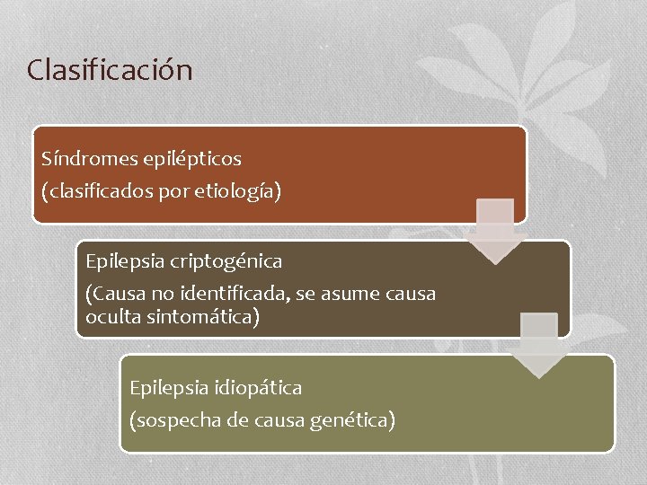 Clasificación Síndromes epilépticos (clasificados por etiología) Epilepsia criptogénica (Causa no identificada, se asume causa