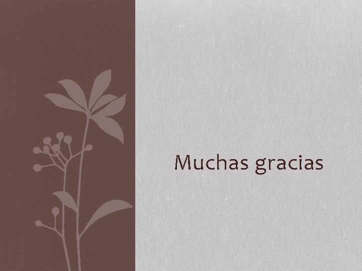 Muchas gracias 