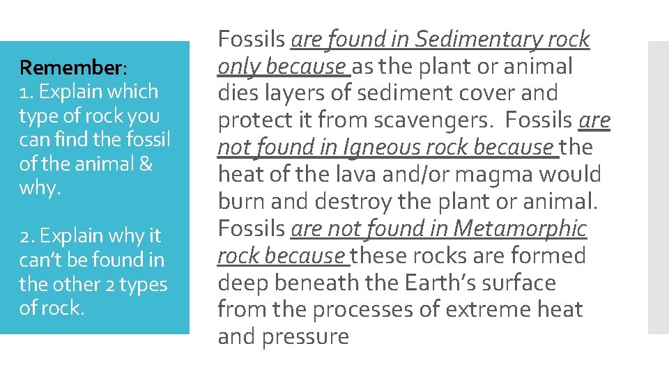 Remember: 1. Explain which type of rock you can find the fossil of the