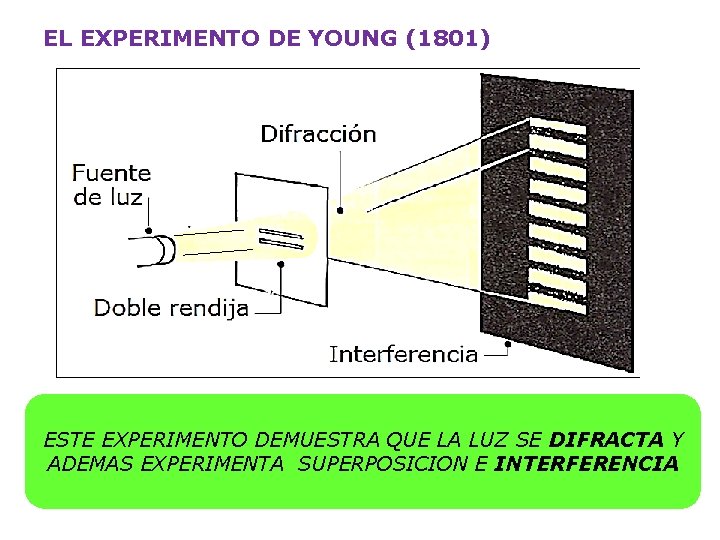 EL EXPERIMENTO DE YOUNG (1801) ESTE EXPERIMENTO DEMUESTRA QUE LA LUZ SE DIFRACTA Y
