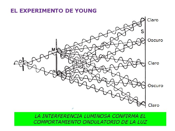 EL EXPERIMENTO DE YOUNG LA INTERFERENCIA LUMINOSA CONFIRMA EL COMPORTAMIENTO ONDULATORIO DE LA LUZ