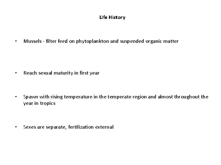 Life History • Mussels - filter feed on phytoplankton and suspended organic matter •