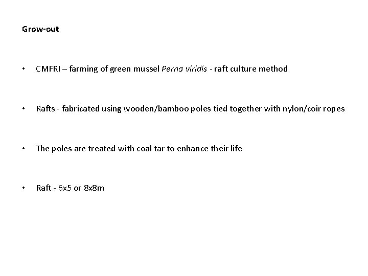 Grow-out • CMFRI – farming of green mussel Perna viridis - raft culture method