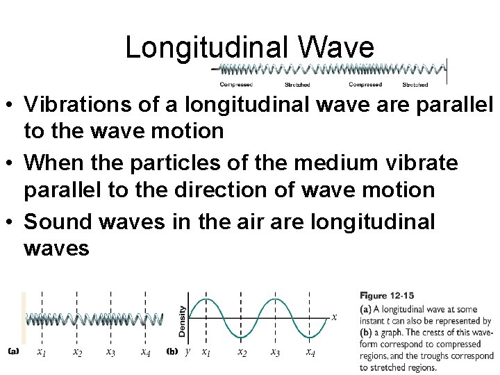 Longitudinal Wave • Vibrations of a longitudinal wave are parallel to the wave motion