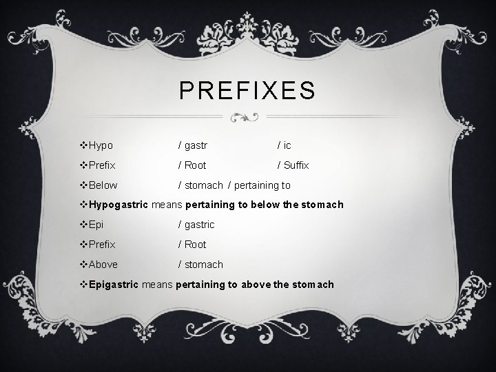 PREFIXES v. Hypo / gastr / ic v. Prefix / Root / Suffix v.
