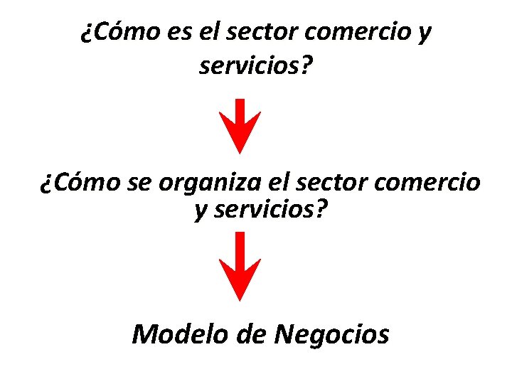 ¿Cómo es el sector comercio y servicios? ¿Cómo se organiza el sector comercio y