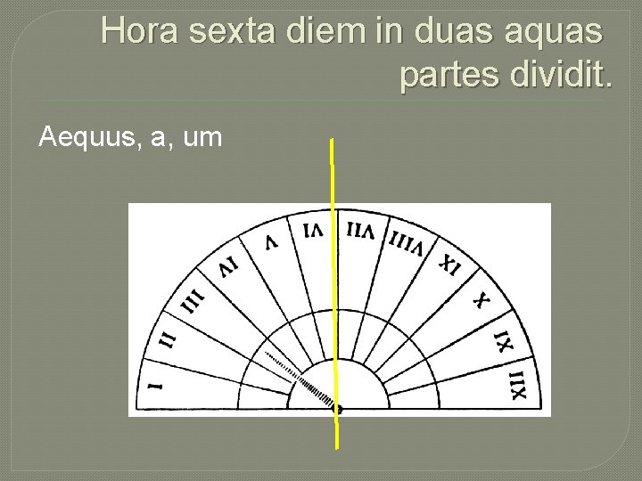 Hora sexta diem in duas aquas partes dividit. Aequus, a, um 