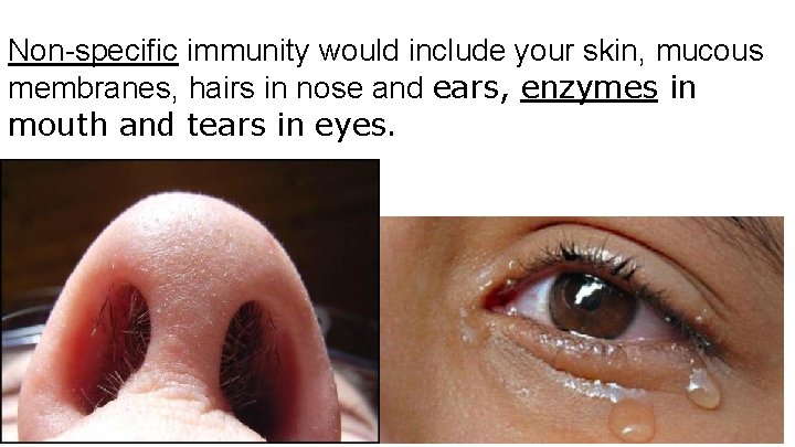 Non-specific immunity would include your skin, mucous membranes, hairs in nose and ears, enzymes