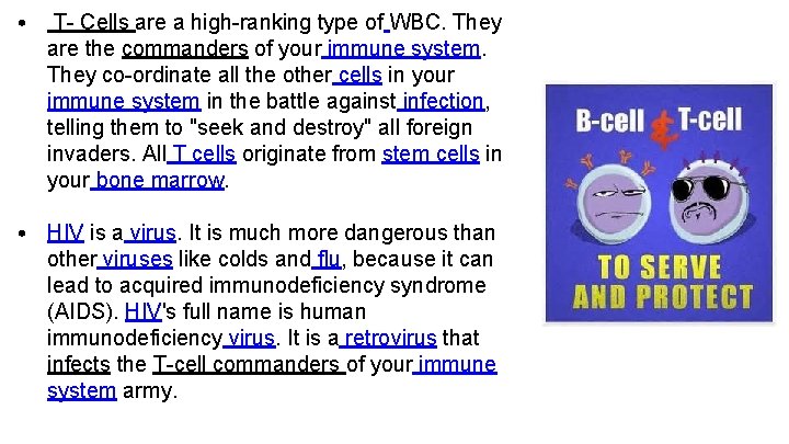  • T- Cells are a high-ranking type of WBC. They are the commanders