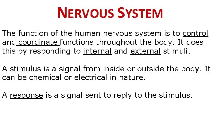 NERVOUS SYSTEM The function of the human nervous system is to control and coordinate