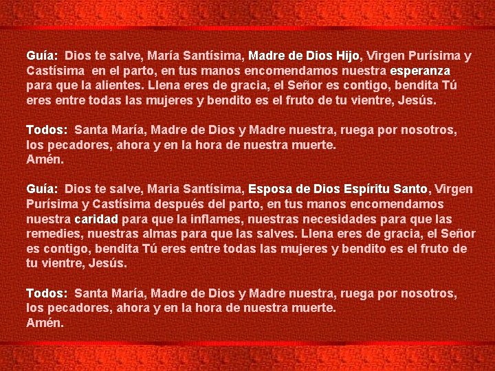Guía: Dios te salve, María Santísima, Madre de Dios Hijo, Virgen Purísima y Castísima