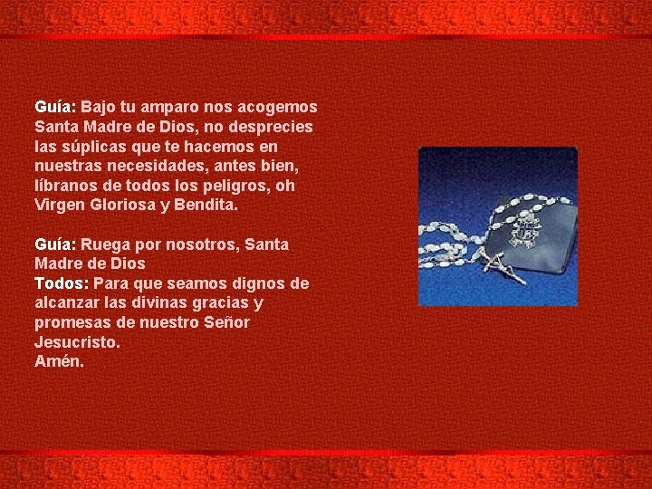 Guía: Bajo tu amparo nos acogemos Santa Madre de Dios, no desprecies las súplicas