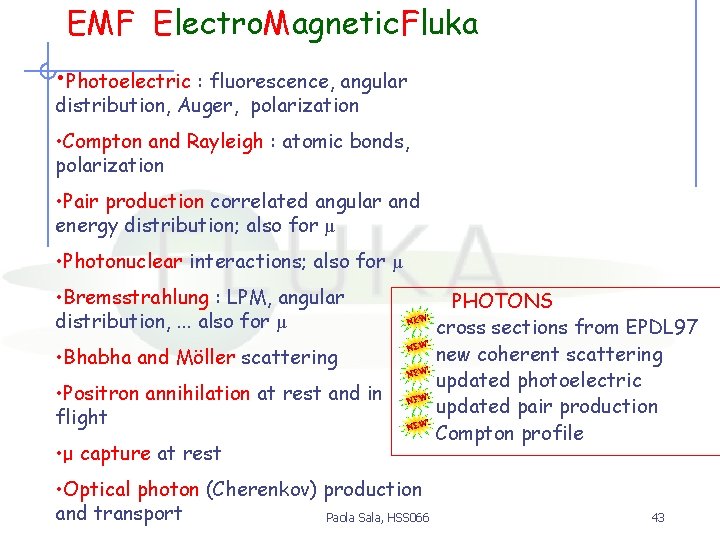 EMF Electro. Magnetic. Fluka • Photoelectric : fluorescence, angular distribution, Auger, polarization • Compton