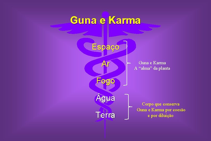 Guna e Karma Espaço Ar Guna e Karma A “alma” da planta Fogo Água