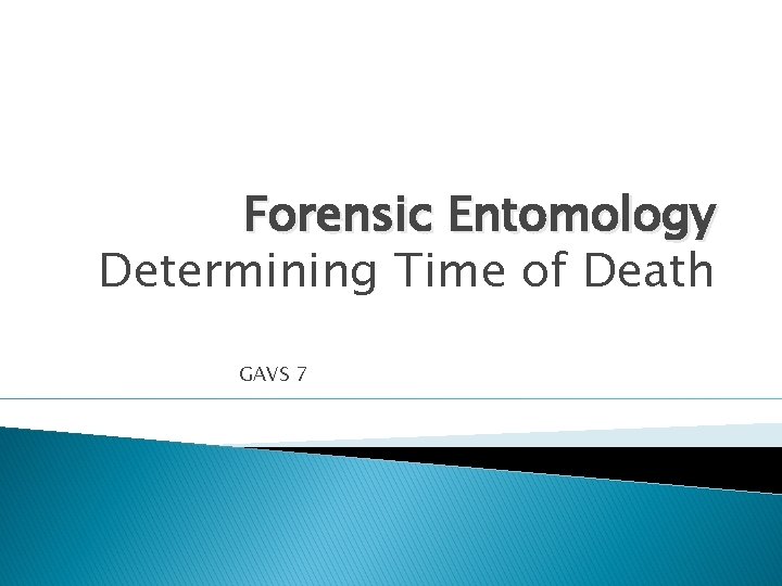 Forensic Entomology Determining Time of Death GAVS 7 