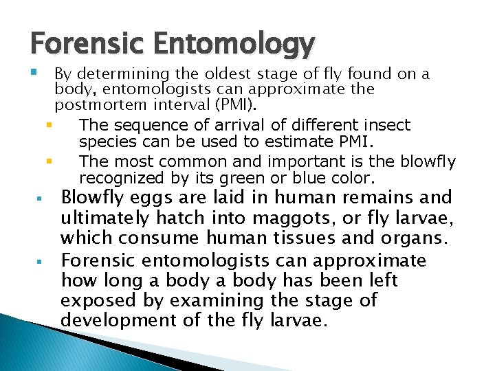 Forensic Entomology § § § By determining the oldest stage of fly found on