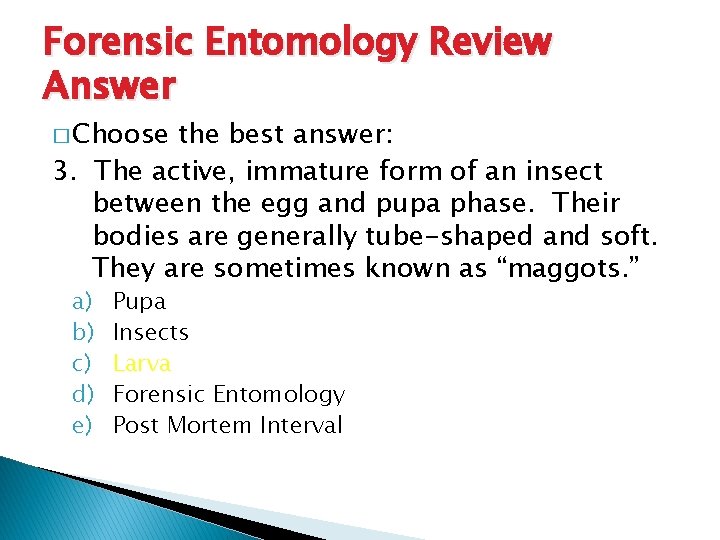 Forensic Entomology Review Answer � Choose the best answer: 3. The active, immature form