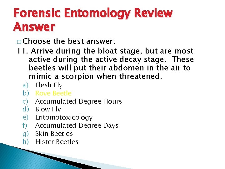 Forensic Entomology Review Answer � Choose the best answer: 11. Arrive during the bloat