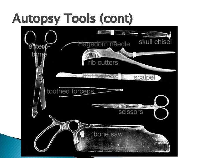 Autopsy Tools (cont) 
