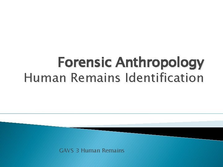 Forensic Anthropology Human Remains Identification GAVS 3 Human Remains 