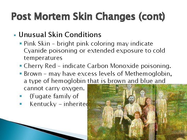 Post Mortem Skin Changes (cont) § Unusual Skin Conditions § Pink Skin – bright