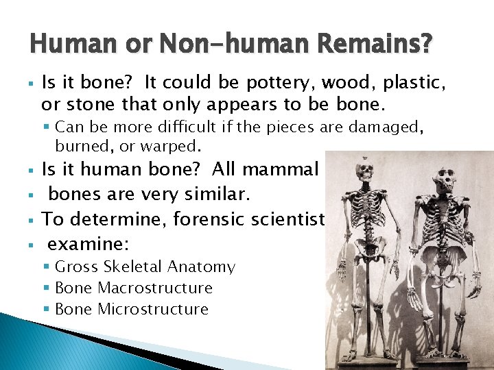 Human or Non-human Remains? § Is it bone? It could be pottery, wood, plastic,
