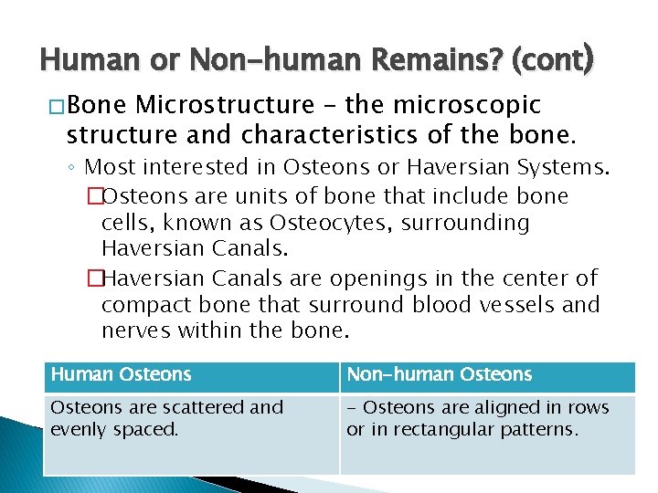 Human or Non-human Remains? (cont) � Bone Microstructure – the microscopic structure and characteristics