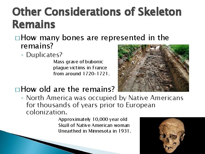 Other Considerations of Skeleton Remains � How many bones are represented in the remains?