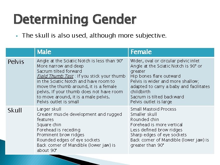 Determining Gender § The skull is also used, although more subjective. Pelvis � �