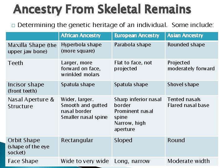 Ancestry From Skeletal Remains � Determining the genetic heritage of an individual. Some include: