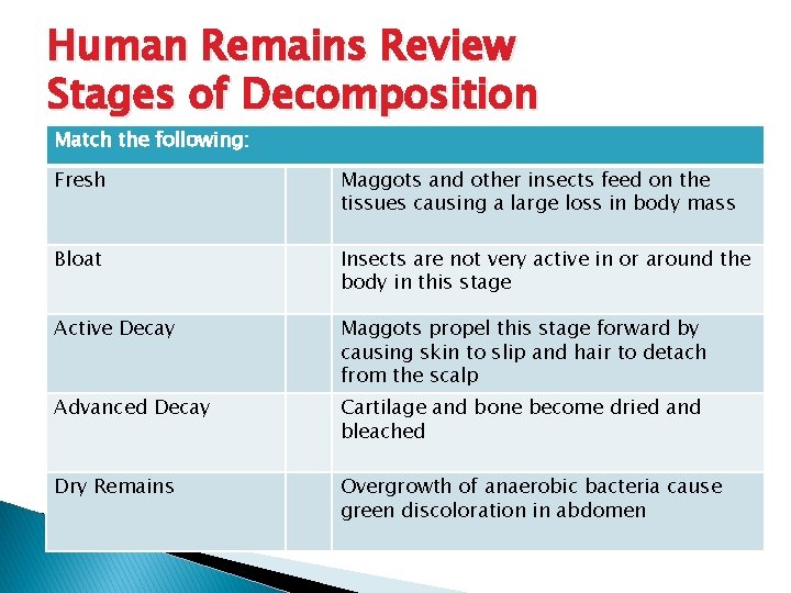 Human Remains Review Stages of Decomposition Match the following: Fresh Maggots and other insects