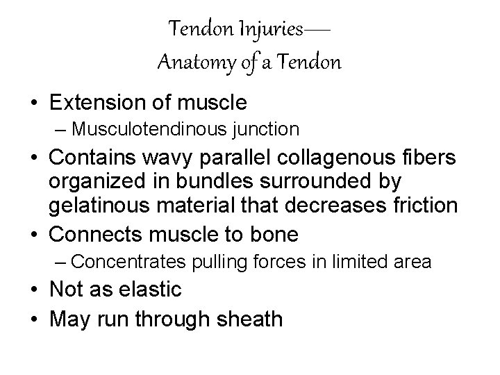 Tendon Injuries— Anatomy of a Tendon • Extension of muscle – Musculotendinous junction •