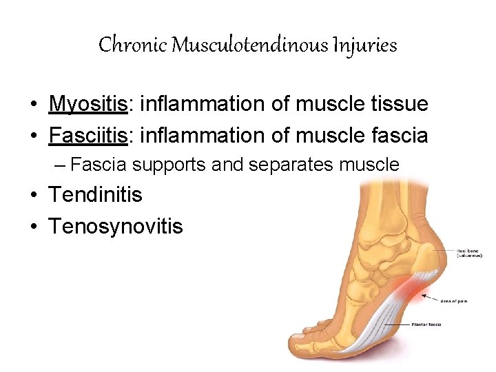 Chronic Musculotendinous Injuries • Myositis: inflammation of muscle tissue • Fasciitis: inflammation of muscle