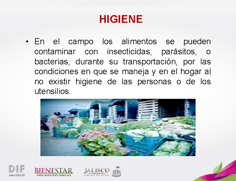 HIGIENE • En el campo los alimentos se pueden contaminar con insecticidas, parásitos, o