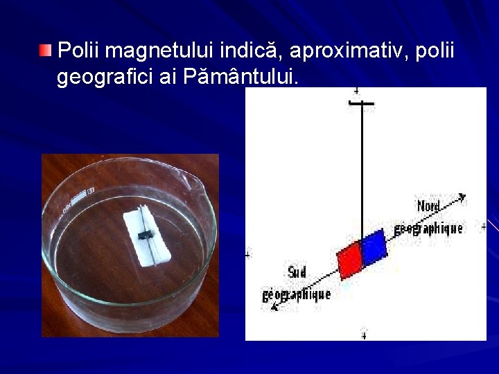 Polii magnetului indică, aproximativ, polii geografici ai Pământului. 