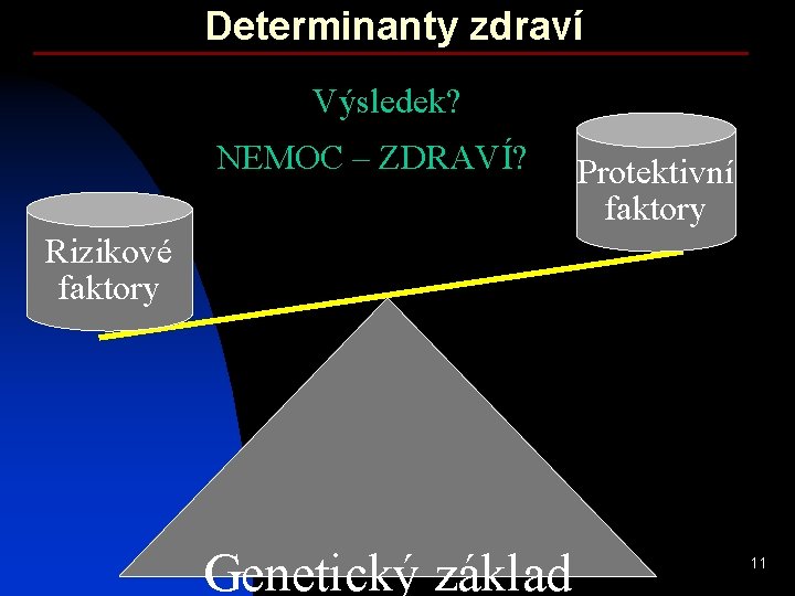 Determinanty zdraví Výsledek? NEMOC – ZDRAVÍ? Protektivní faktory Rizikové faktory Genetický základ 11 