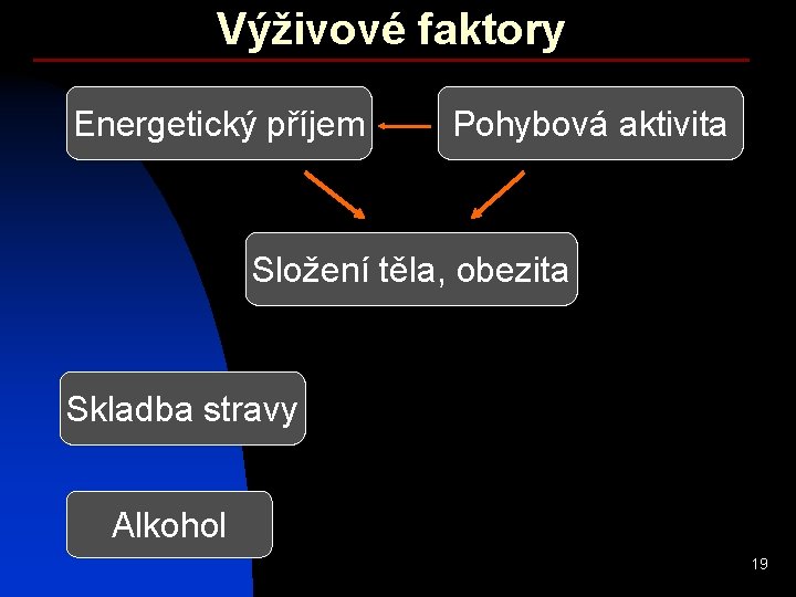 Výživové faktory Energetický příjem Pohybová aktivita Složení těla, obezita Skladba stravy Alkohol 19 