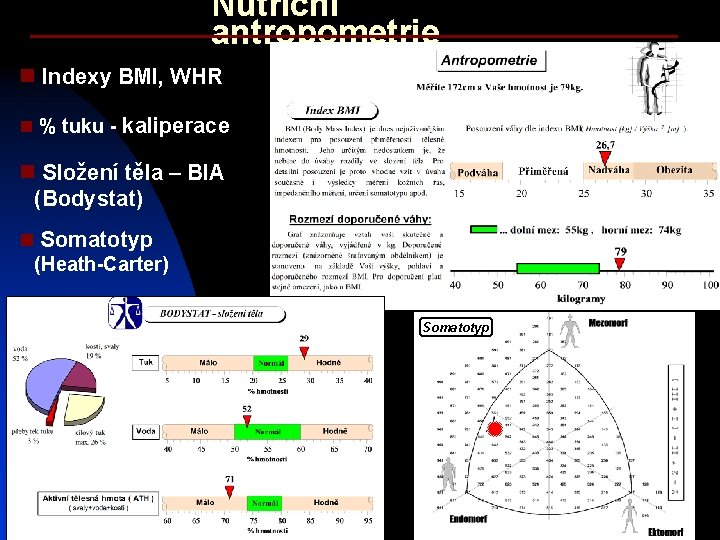 Nutriční antropometrie n Indexy BMI, WHR n % tuku - kaliperace n Složení těla