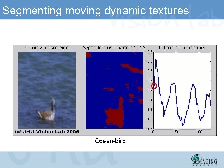 Segmenting moving dynamic textures Ocean-bird 